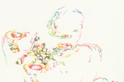 Bettina van Haaren - o.T.